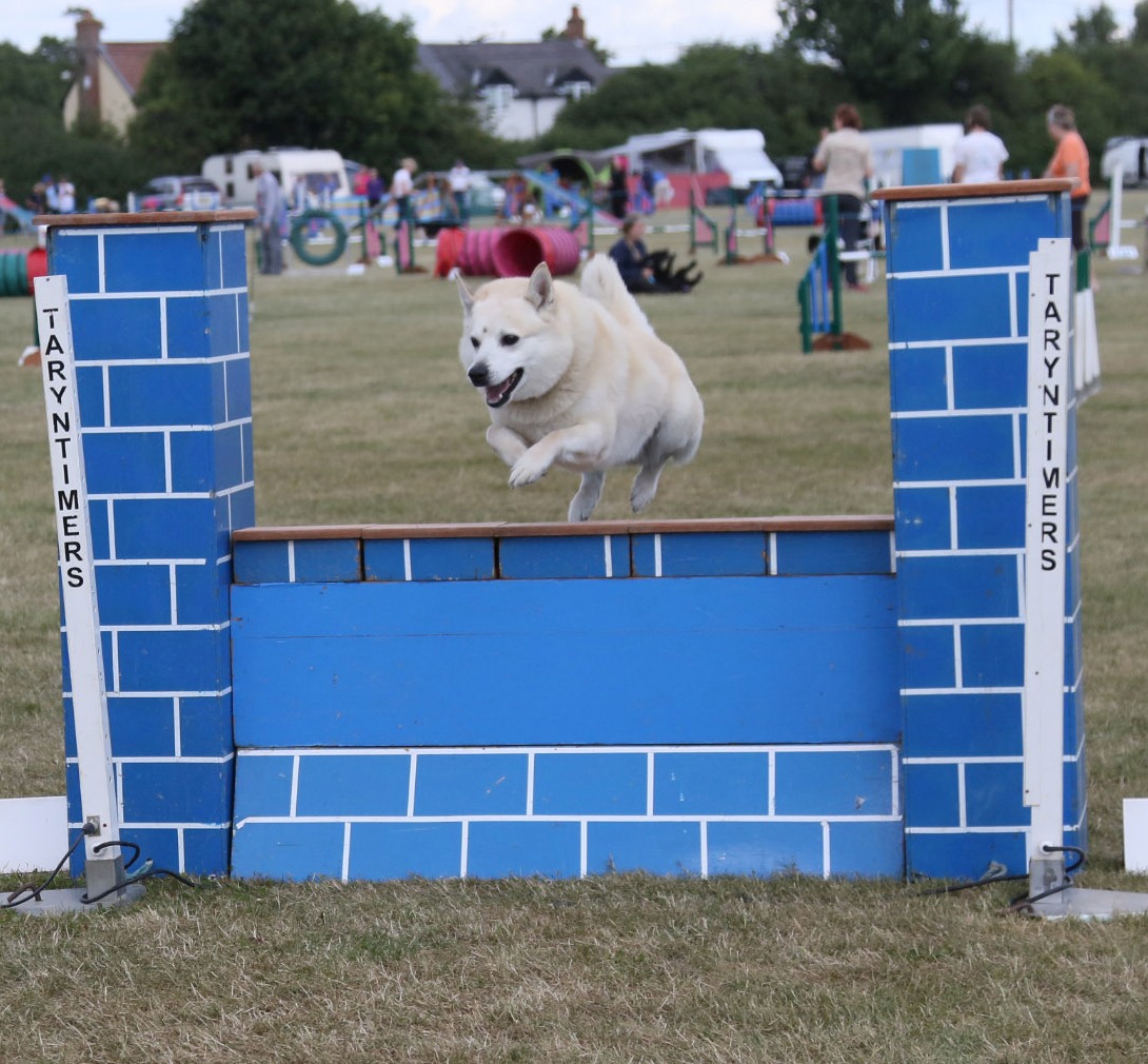 Agility
