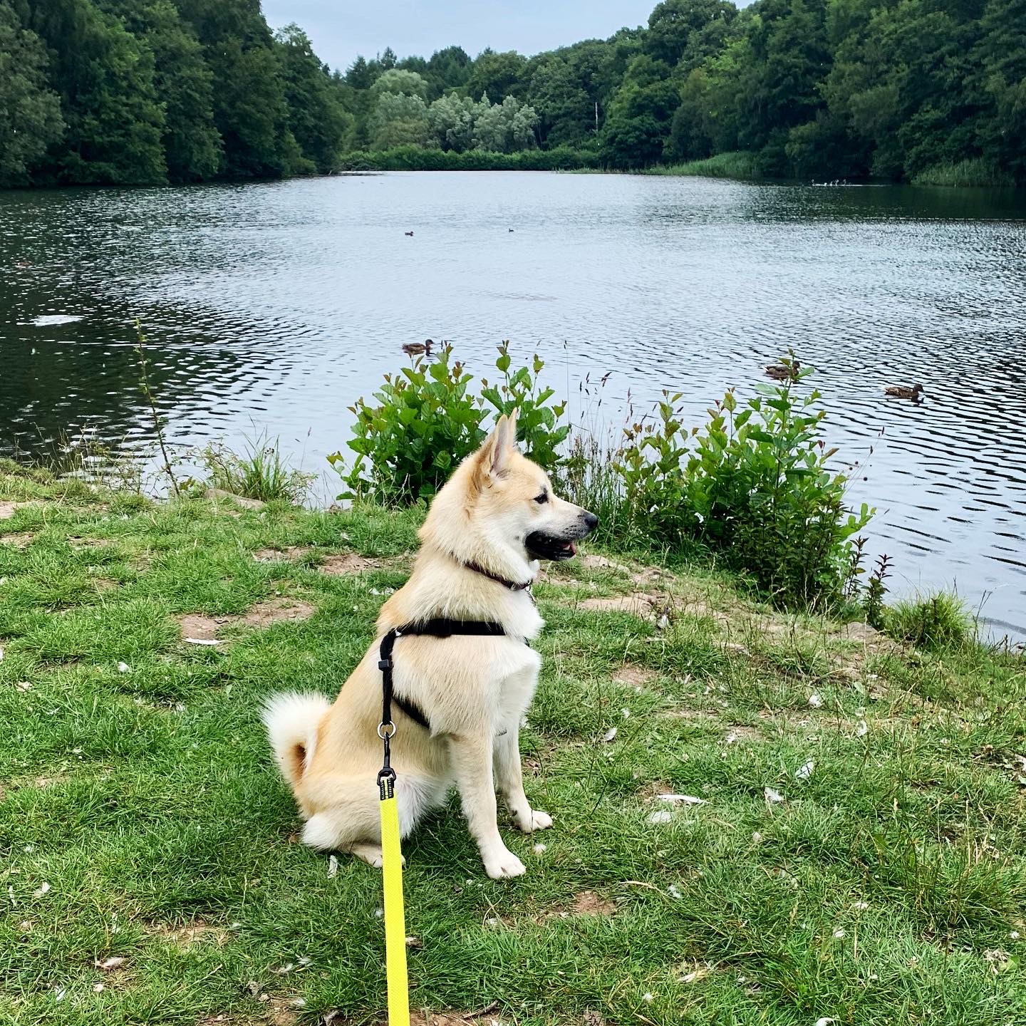 Independent & Intelligent
