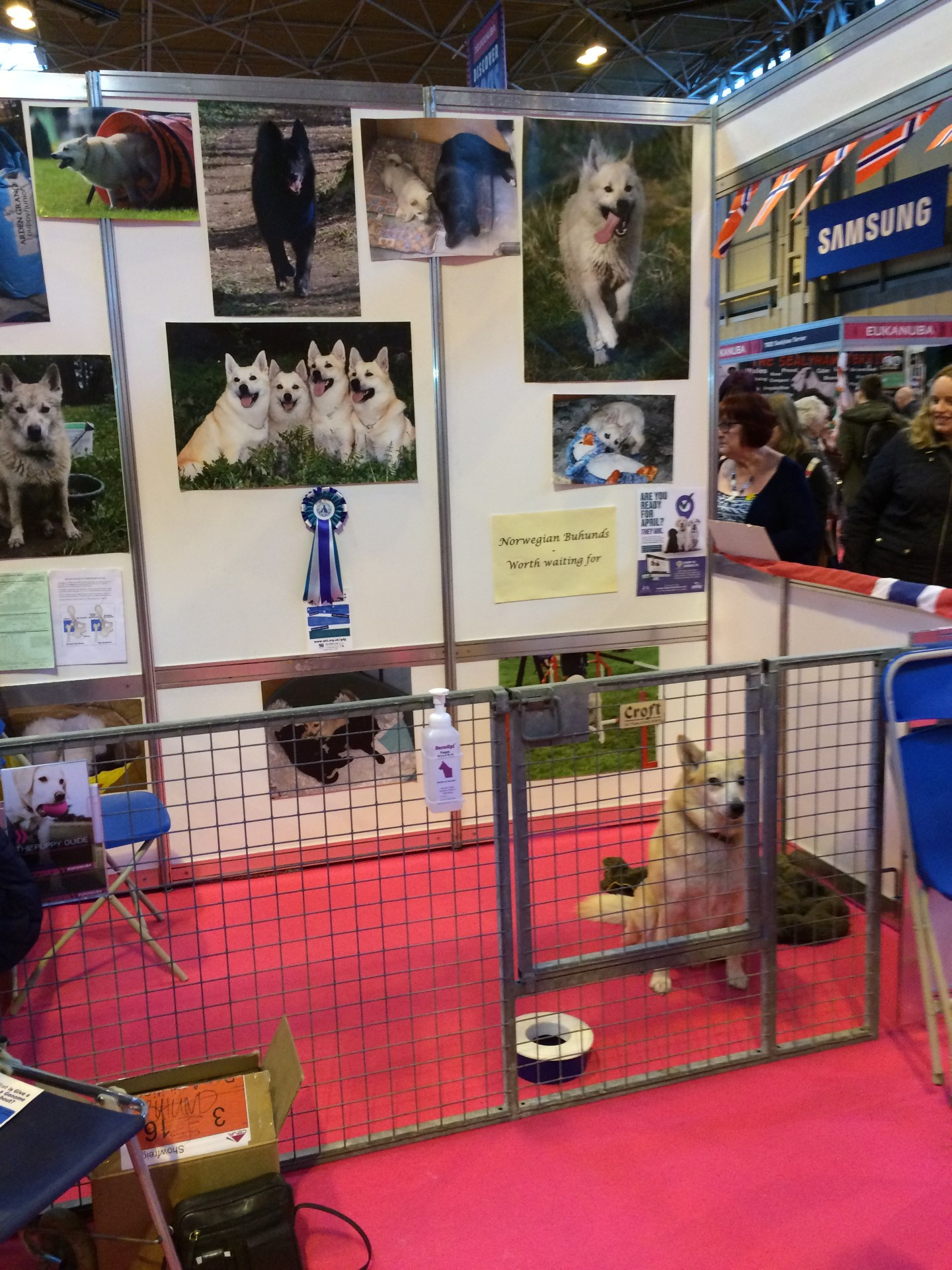 Discover Dogs